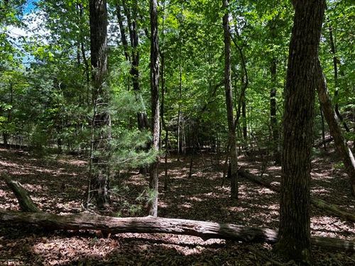Lot 43 Edgewood Trl, Blairsville, GA, 30512-2965 | Card Image