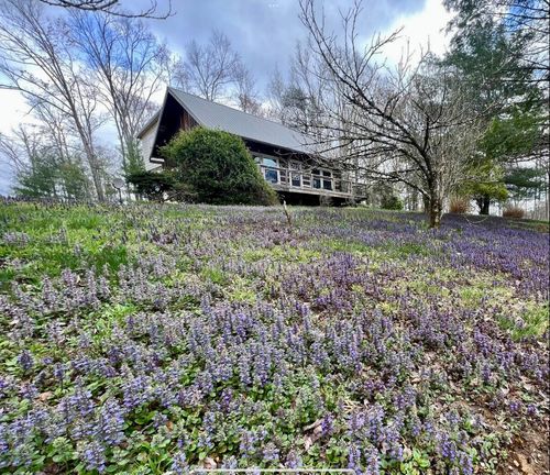 1516 Hobbs Rd, Campton, KY, 41301-7516 | Card Image