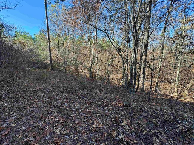 00 Calico Rd, Home with 0 bedrooms, 0 bathrooms and null parking in Clinton AR | Image 38