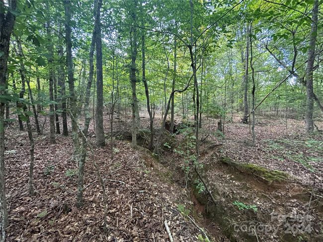 5630 Woodsferry Rd, Home with 0 bedrooms, 0 bathrooms and null parking in Carlisle SC | Image 18