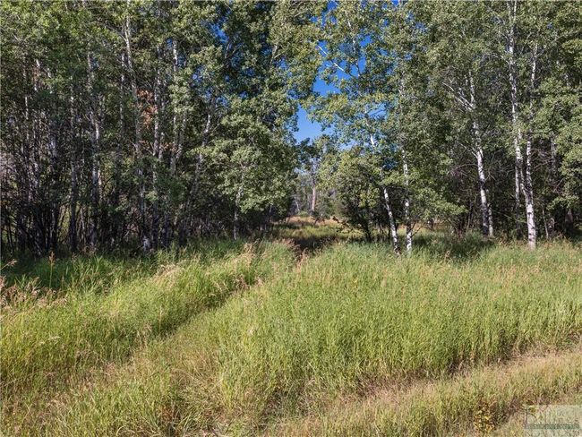 63 Rock Creek Rd N, Home with 0 bedrooms, 0 bathrooms and null parking in Clyde Park MT | Image 13