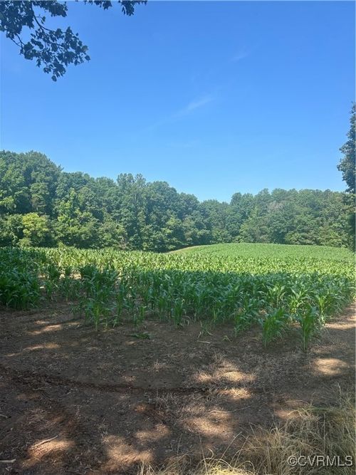 0 Chula Rd, Amelia Court House, VA, 23002 | Card Image