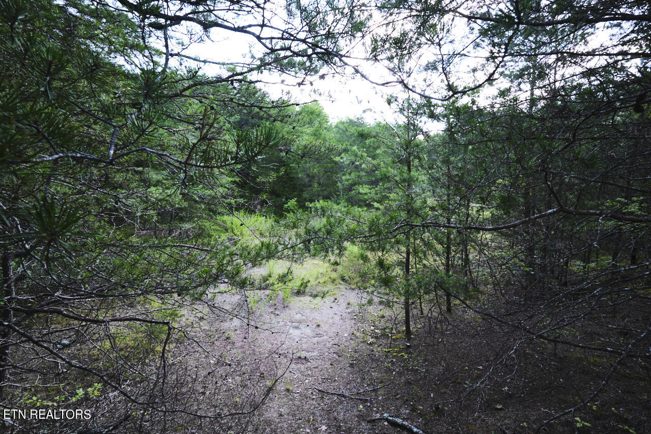 Land in Blaine 2