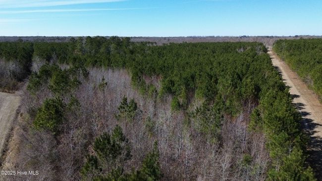 0 Mcnair Ln, Home with 0 bedrooms, 0 bathrooms and null parking in Plymouth NC | Image 7