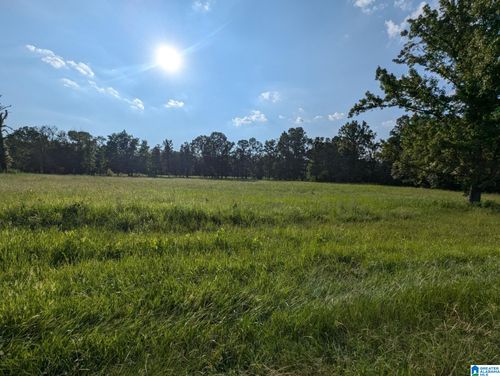 0-0 Poplar Springs Trl, Ashville, AL, 35953 | Card Image