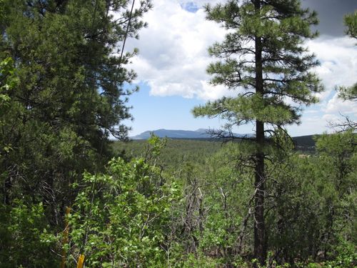 20 Estrella Vista Dr, Tijeras, NM, 87059-8161 | Card Image