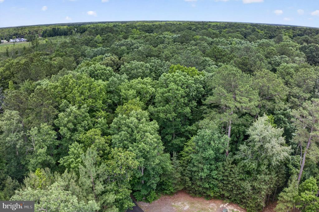 Land in PARSONSBURG 5