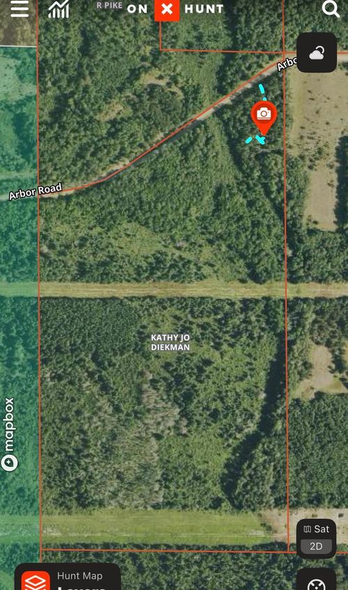 TBD Arbor Dr, Park Rapids, MN, 56470 | Card Image