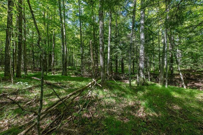 Lot 2 E Amber Lake Rd, Home with 0 bedrooms, 0 bathrooms and null parking in Lac du Flambeau WI | Image 12