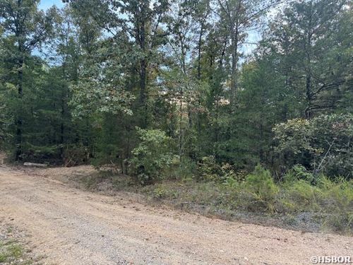 000 Perkins Pl, Bonnerdale, AR, 71933 | Card Image