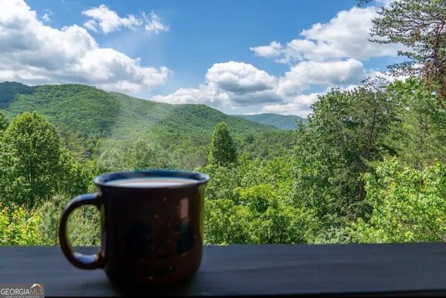367 Laurel Mountain Rd, House other with 4 bedrooms, 3 bathrooms and null parking in Blue Ridge GA | Image 8