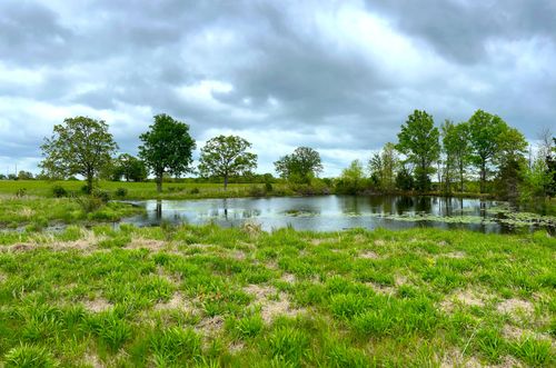 000 Zebulon & 2925 Road, Sheldon, MO, 64784 | Card Image