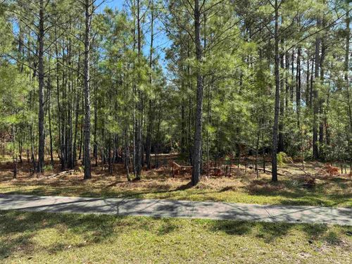 113 Pineberry Dr, Georgetown, SC, 29440 | Card Image