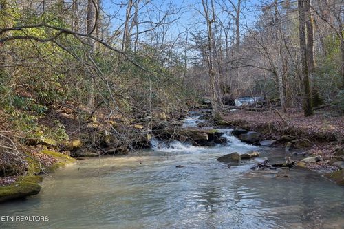 590 Hamby Ln, Robbins, TN, 37852 | Card Image