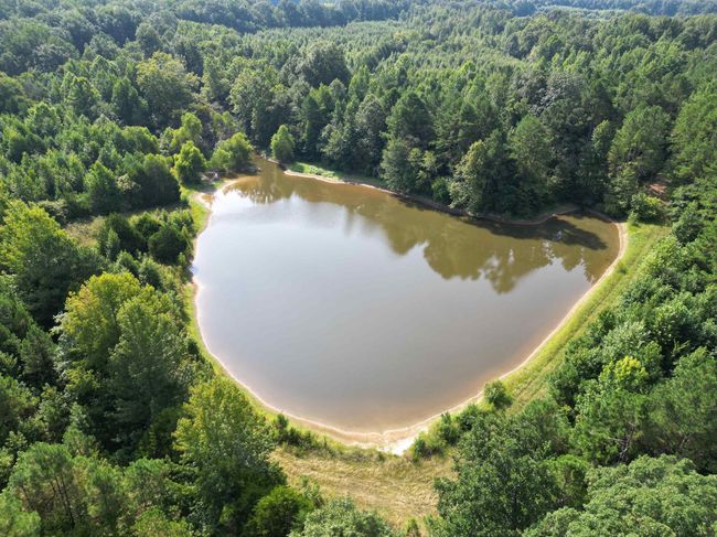 2485 Turner Rd, Home with 0 bedrooms, 0 bathrooms and null parking in Grand Junction TN | Image 13