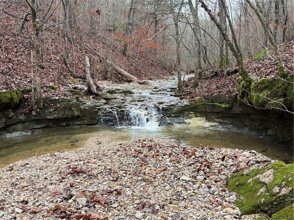Land in Eureka Springs