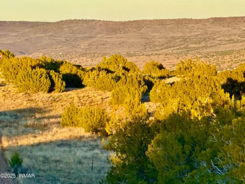 136 Zuni Dr, Concho, AZ, 85924 | Card Image