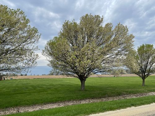 Lot 6 S 16000w Rd, Buckingham, IL, 60917 | Card Image