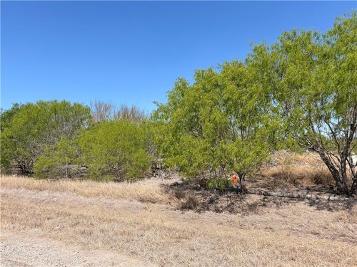 00 La Paloma, Bishop, TX, 78343 | Card Image