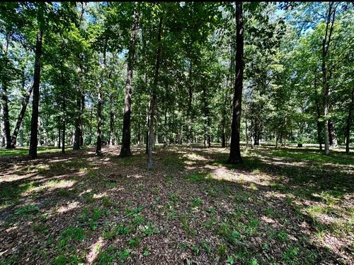 220 Beyers Lake Est, Pana, IL, 62557 | Card Image