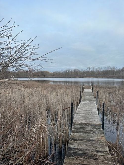 2.12 Acre Lot Shores Point Drive, Genoa Township, MI, 48116 | Card Image
