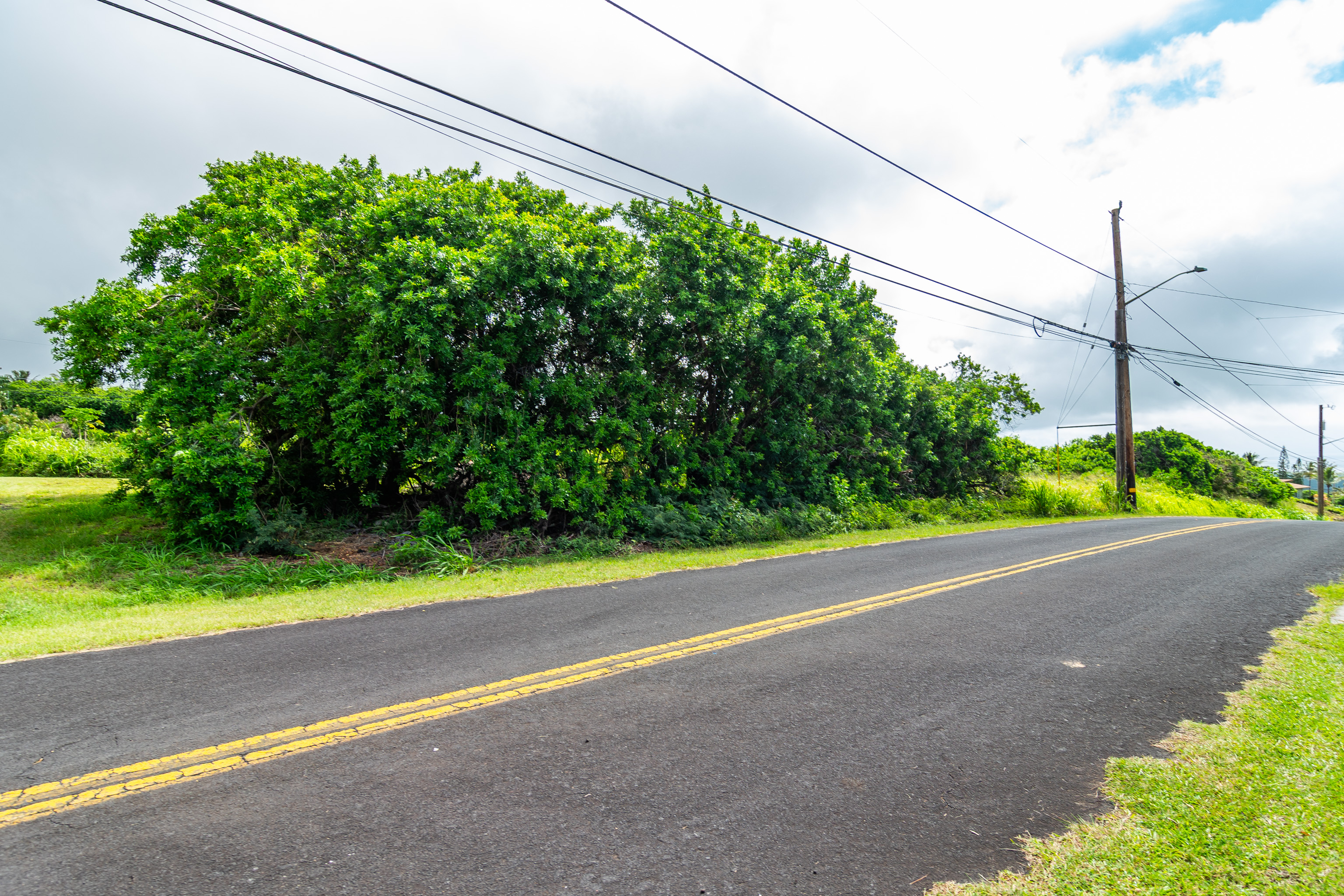 Land in Naalehu 2