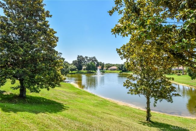 1007 W Beagle Run Loop, House other with 4 bedrooms, 4 bathrooms and 2 parking in Hernando FL | Image 63