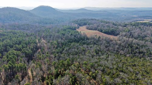 196 Gorby Rd, Calico Rock, AR, 72519 | Card Image