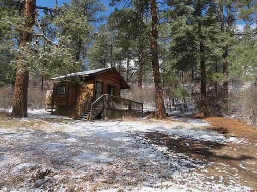 203 Evergreen Dr, Pagosa Springs, CO, 81147-9655 | Card Image