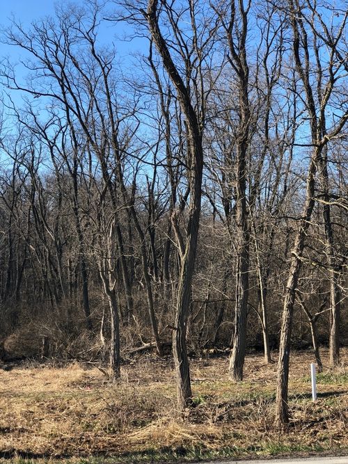 12940 Hadley #3 W Hadley Rd, Homer Glen, IL, 60491-8242 | Card Image