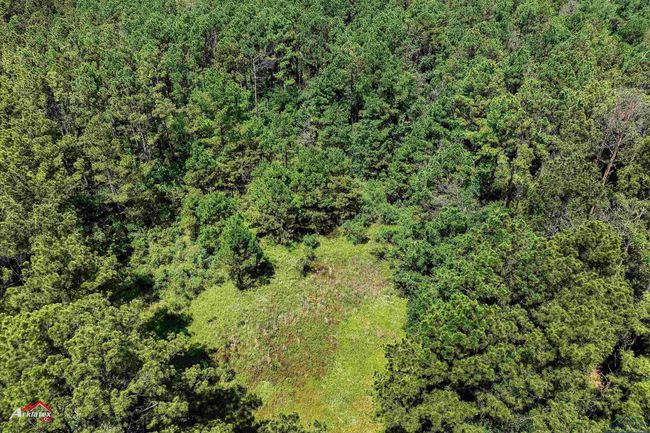 TRACT-2 - TBD Pr 1335, Home with 0 bedrooms, 0 bathrooms and null parking in Marshall TX | Image 10