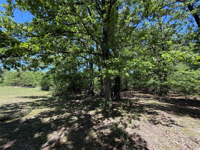 72 N Farm Road 900 N, Home with 0 bedrooms, 0 bathrooms and null parking in Saltillo TX | Image 26