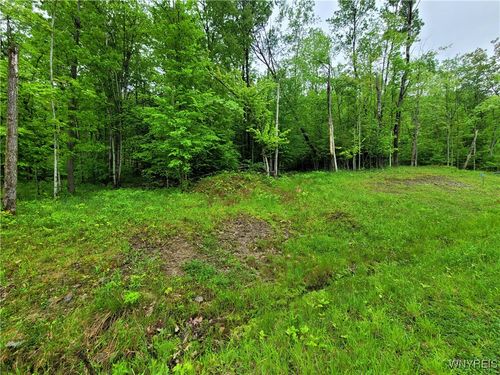 0 Co Road 24- Lot 7, Grove, NY, 14884 | Card Image