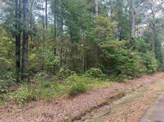 23483 Heritage Acres Ln, Home with 0 bedrooms, 0 bathrooms and null parking in Robert LA | Image 9
