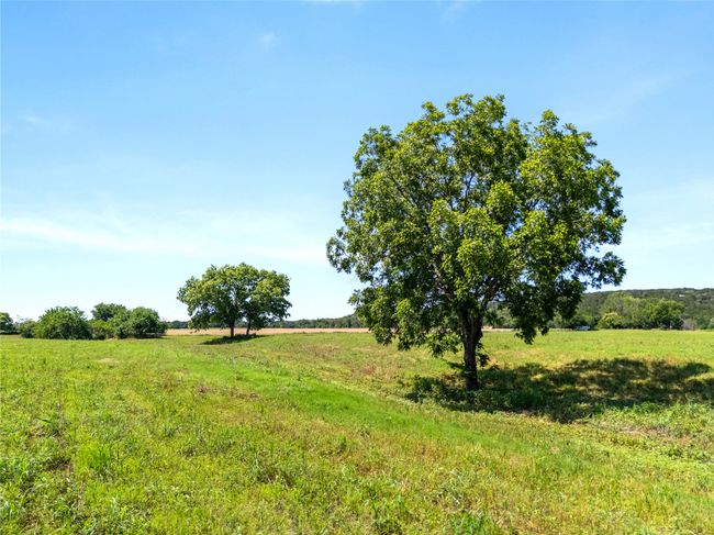 View of yard with a view of rural / pastoral area | Image 23