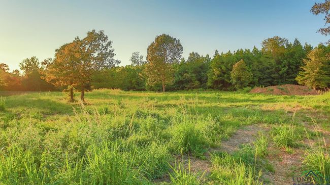 LOT-19-MAJESTIC-OAKS - TBD Majestic Oaks, Home with 0 bedrooms, 0 bathrooms and null parking in De Berry TX | Image 7