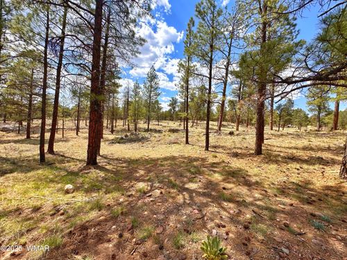 PAR 007H Chevelon Rd, Heber, AZ, 85928 | Card Image