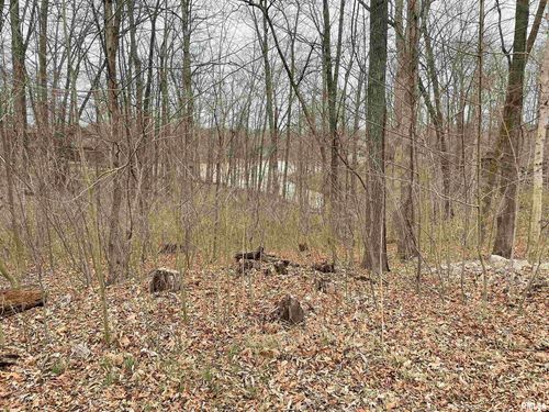 0000 Iroquois Trl, Murphysboro, IL, 62966 | Card Image