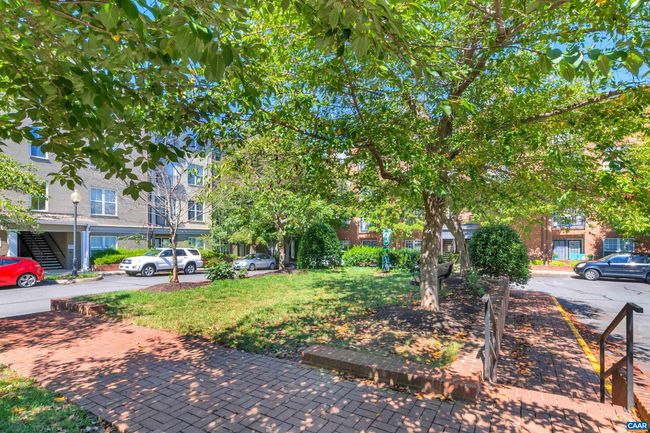 APT-3B - 745 Walker Sq, Condo with 1 bedrooms, 1 bathrooms and null parking in CHARLOTTESVILLE VA | Image 34