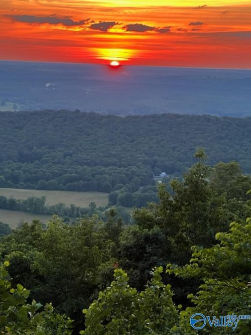 lot 22 County Road 89, Mentone, AL, 35984-2347 | Card Image