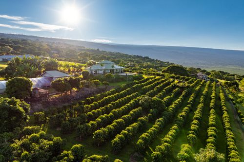 81-853 Makahiki Ln, CAPTAIN COOK, HI, 96704-8105 | Card Image