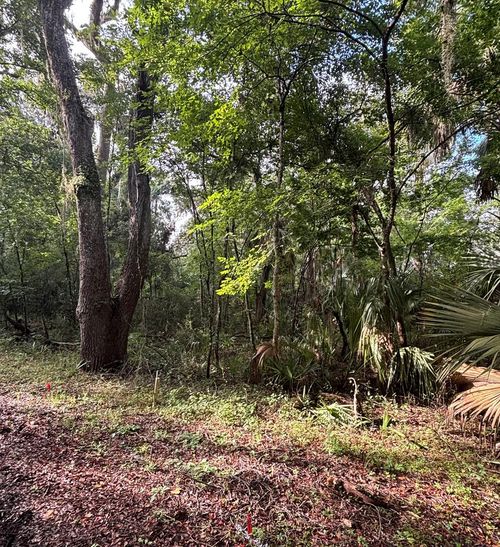 0 Ne 83rd Ave, Old Town, FL, 32680 | Card Image