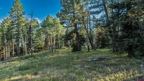 170 Crest Dr, Cimarron, CO, 81220-9503 | Card Image
