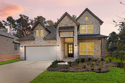 215 Congo Bay Cir, Willis, TX, 77318 | Card Image