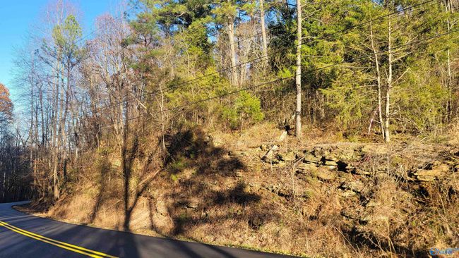80 acres Rock Creek Rd, Home with 0 bedrooms, 0 bathrooms and null parking in Eva AL | Image 11