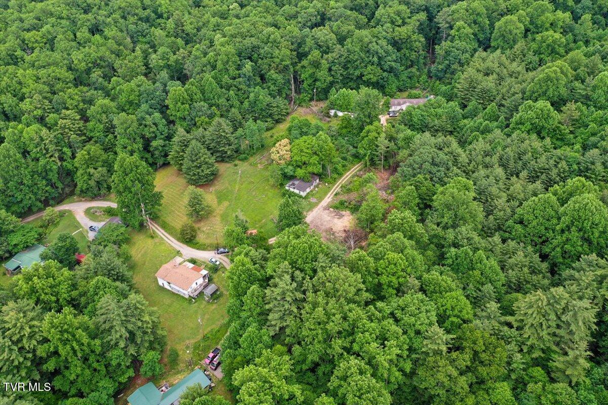 Land in Laurel Bloomery 2