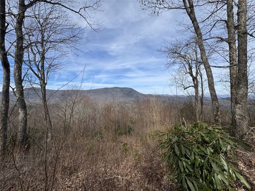 3 Windy Gap Ln, Sapphire, NC, 28774 | Card Image
