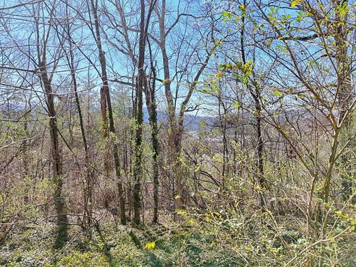 631 Mcridge Rd, Hiawassee, GA, 30546-2517 | Card Image