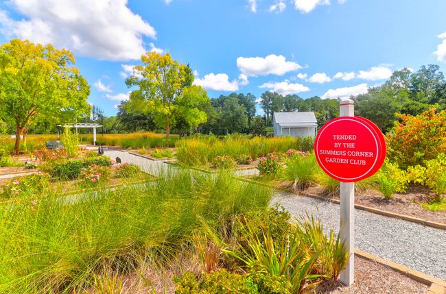 1888 Nola -Tidalcreekphoto- (56) | Image 57