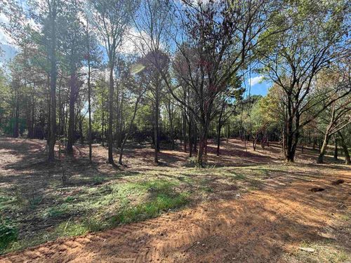 #1A County Road 1123, Vinemont, AL, 35179 | Card Image